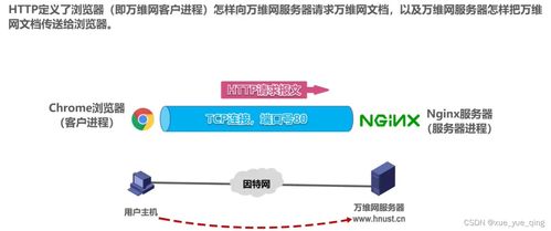 应用层基础与计算机网络技术咨询的实践路径