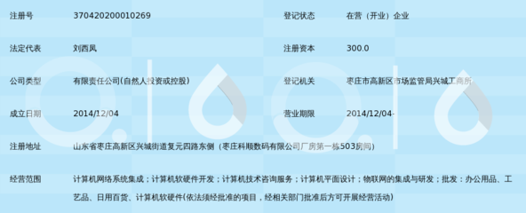 山东润拓网络科技 深耕计算机网络技术咨询，赋能企业数字化转型